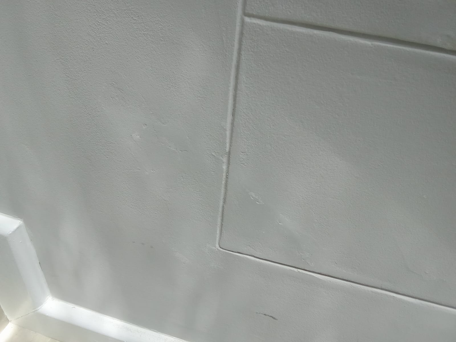 Professional Paint Finish